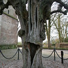studiob-arts > Holland photo